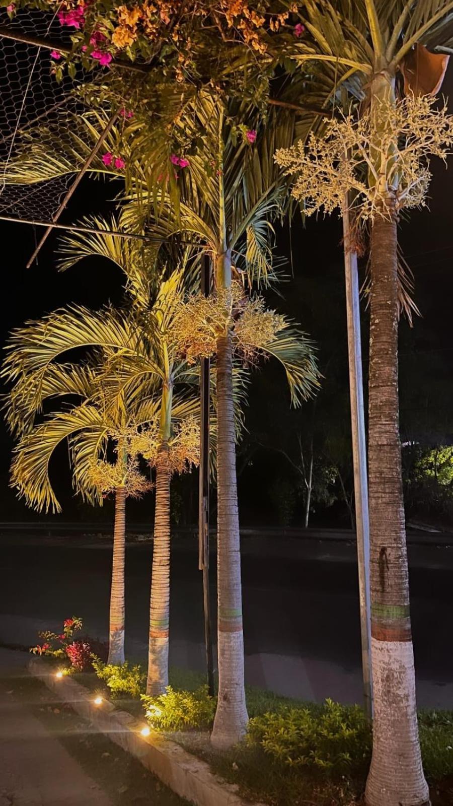 Villa Napoli Santa Ana Buitenkant foto